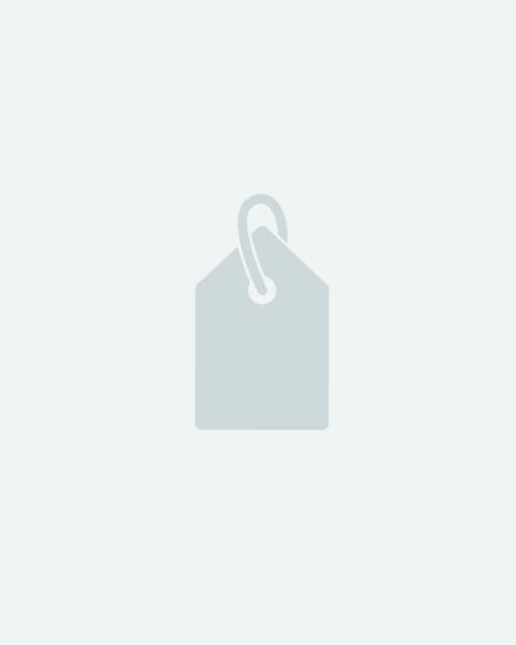 BIKINI STYLE (Demo)