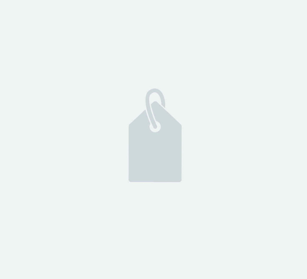 PARTY QUEEN (Demo)